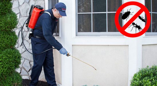 Amasra Hamam Böceği İlaçlama böcek ilaçlama ve haşere kontrolü — ilaclama-tr.com